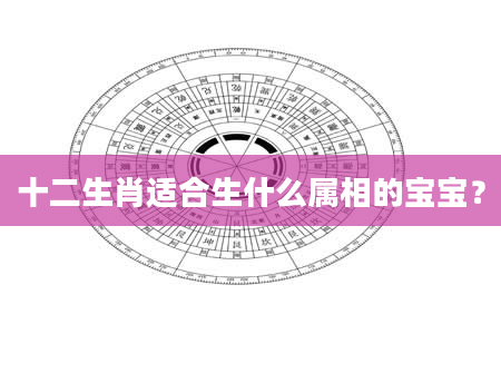 十二生肖适合生什么属相的宝宝？
