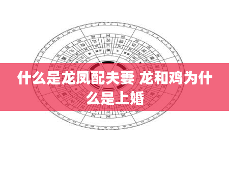 什么是龙凤配夫妻 龙和鸡为什么是上婚