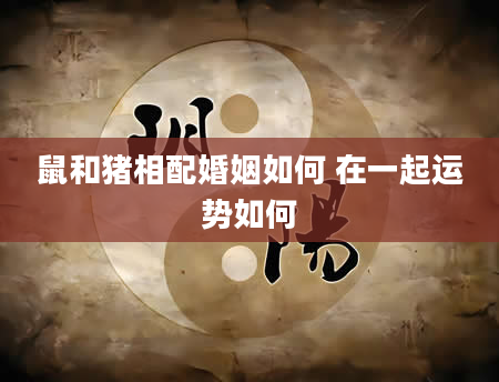 鼠和猪相配婚姻如何 在一起运势如何