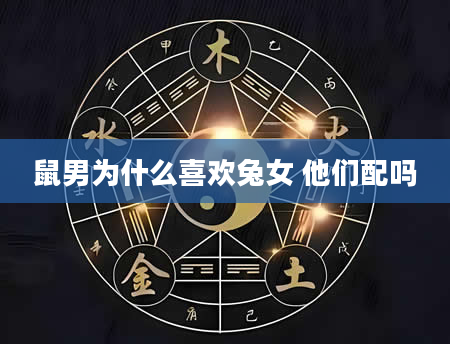 鼠男为什么喜欢兔女 他们配吗