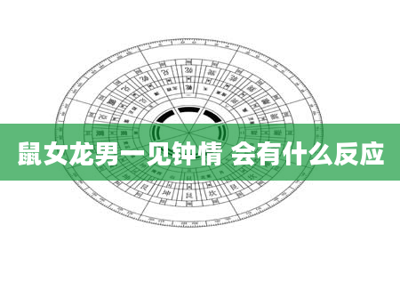 鼠女龙男一见钟情 会有什么反应