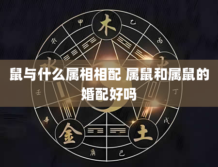 鼠与什么属相相配 属鼠和属鼠的婚配好吗