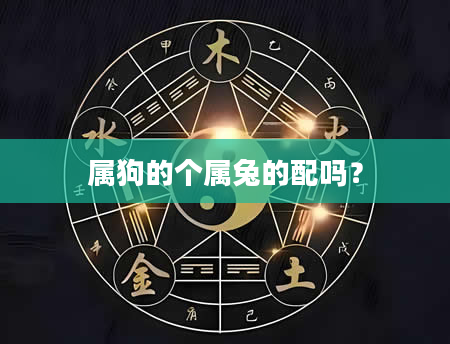 属狗的个属兔的配吗？