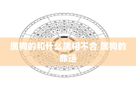属狗的和什么属相不合 属狗的命运