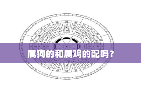 属狗的和属鸡的配吗？