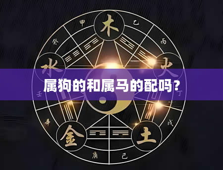 属狗的和属马的配吗？