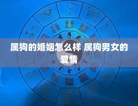 属狗的婚姻怎么样 属狗男女的爱情
