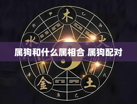 属狗和什么属相合 属狗配对