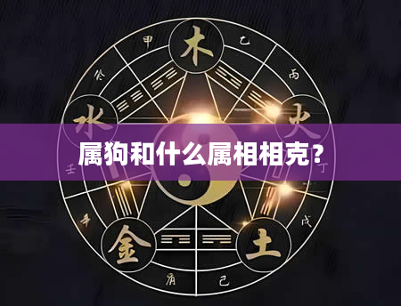 属狗和什么属相相克？
