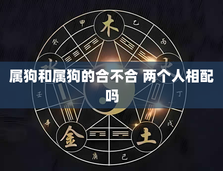 属狗和属狗的合不合 两个人相配吗
