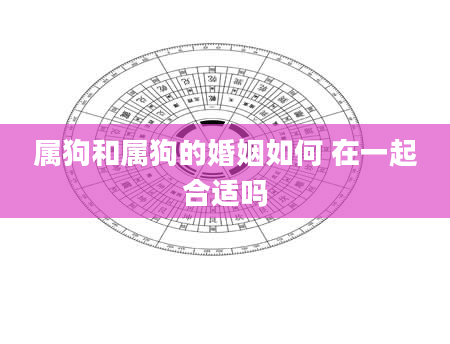 属狗和属狗的婚姻如何 在一起合适吗