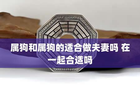 属狗和属狗的适合做夫妻吗 在一起合适吗