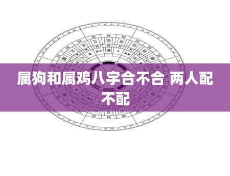 属狗和属鸡八字合不合 两人配不配
