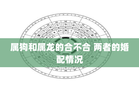 属狗和属龙的合不合 两者的婚配情况
