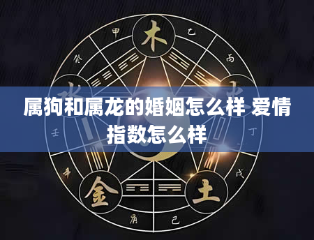 属狗和属龙的婚姻怎么样 爱情指数怎么样