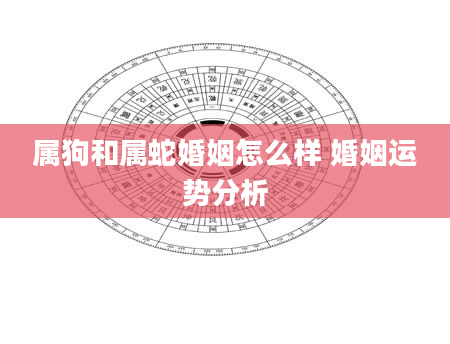 属狗和属蛇婚姻怎么样 婚姻运势分析