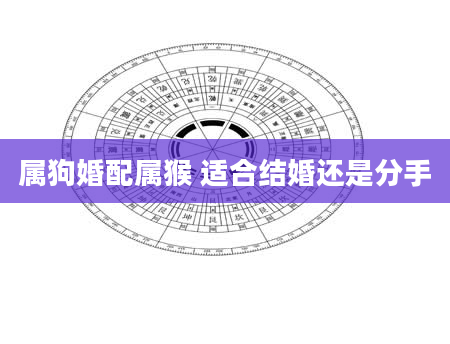 属狗婚配属猴 适合结婚还是分手