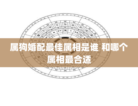 属狗婚配最佳属相是谁 和哪个属相最合适