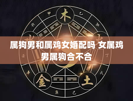 属狗男和属鸡女婚配吗 女属鸡男属狗合不合