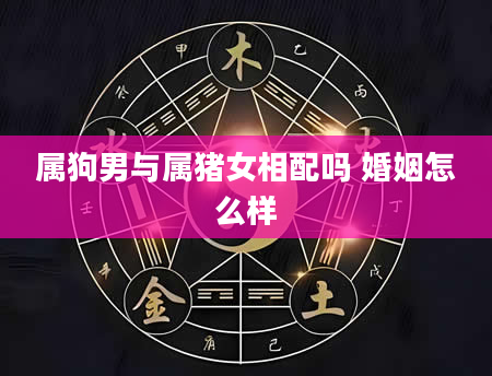 属狗男与属猪女相配吗 婚姻怎么样