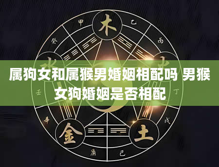 属狗女和属猴男婚姻相配吗 男猴女狗婚姻是否相配