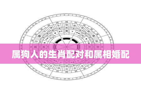 属狗人的生肖配对和属相婚配