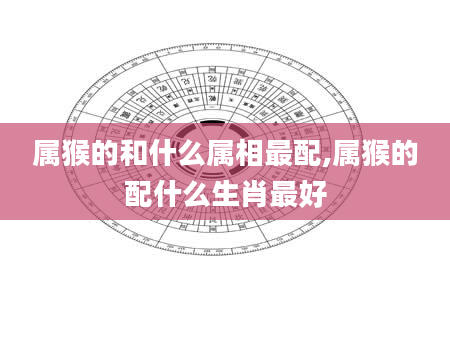 属猴的和什么属相最配,属猴的配什么生肖最好