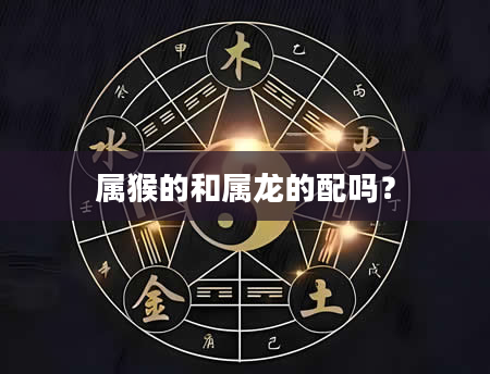 属猴的和属龙的配吗？