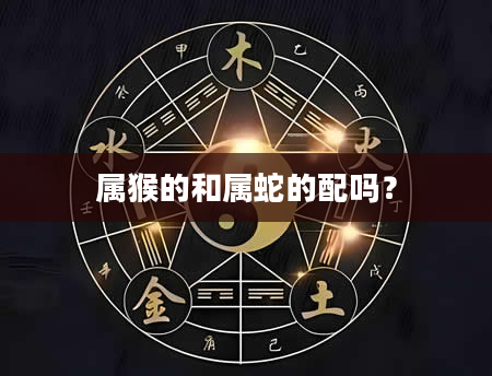 属猴的和属蛇的配吗？