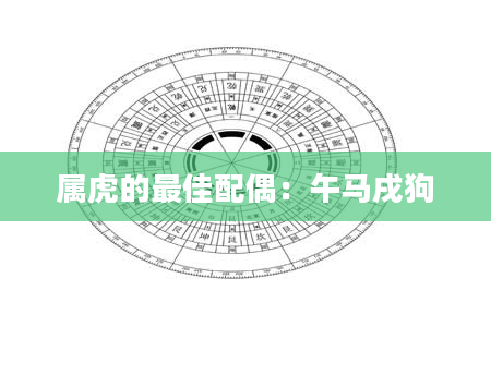 属虎的最佳配偶：午马戌狗