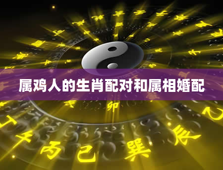 属鸡人的生肖配对和属相婚配