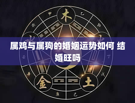 属鸡与属狗的婚姻运势如何 结婚旺吗