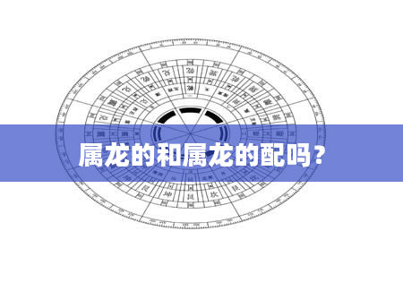 属龙的和属龙的配吗？
