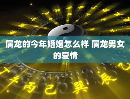 属龙的今年婚姻怎么样 属龙男女的爱情