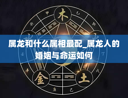 属龙和什么属相最配_属龙人的婚姻与命运如何