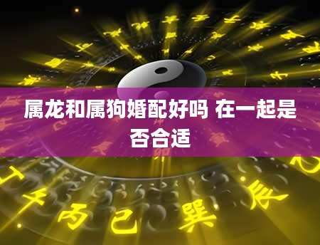 属龙和属狗婚配好吗 在一起是否合适