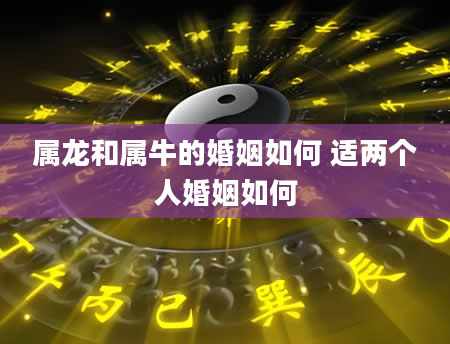 属龙和属牛的婚姻如何 适两个人婚姻如何