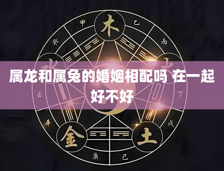 属龙和属兔的婚姻相配吗 在一起好不好