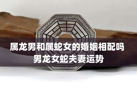 属龙男和属蛇女的婚姻相配吗 男龙女蛇夫妻运势