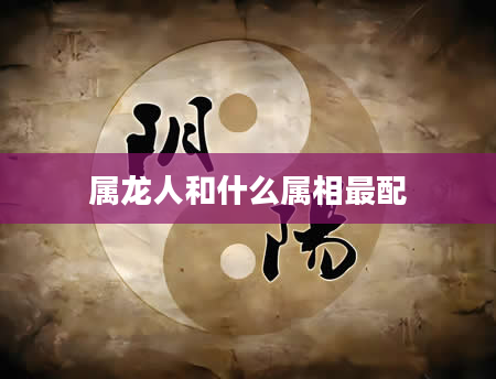 属龙人和什么属相最配