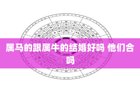 属马的跟属牛的结婚好吗 他们合吗