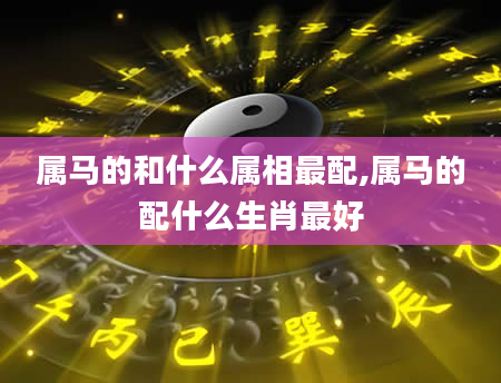 属马的和什么属相最配,属马的配什么生肖最好