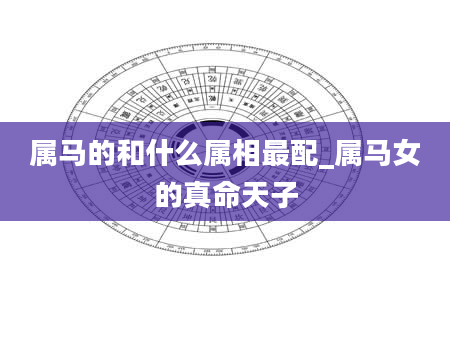属马的和什么属相最配_属马女的真命天子