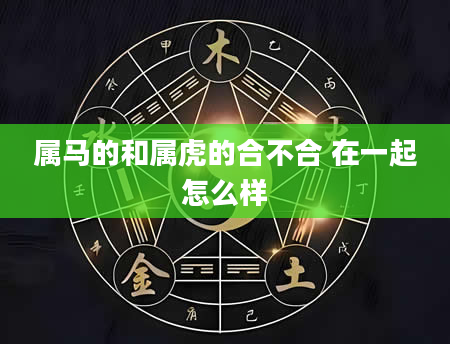 属马的和属虎的合不合 在一起怎么样