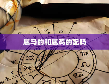 属马的和属鸡的配吗