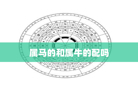 属马的和属牛的配吗