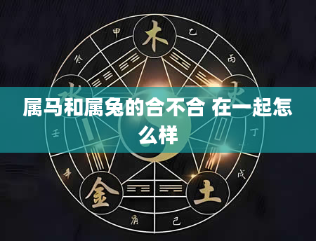 属马和属兔的合不合 在一起怎么样