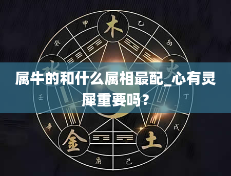 属牛的和什么属相最配_心有灵犀重要吗？