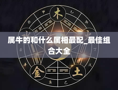 属牛的和什么属相最配_最佳组合大全