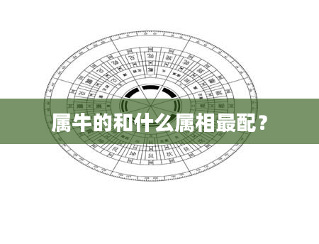 属牛的和什么属相最配？
